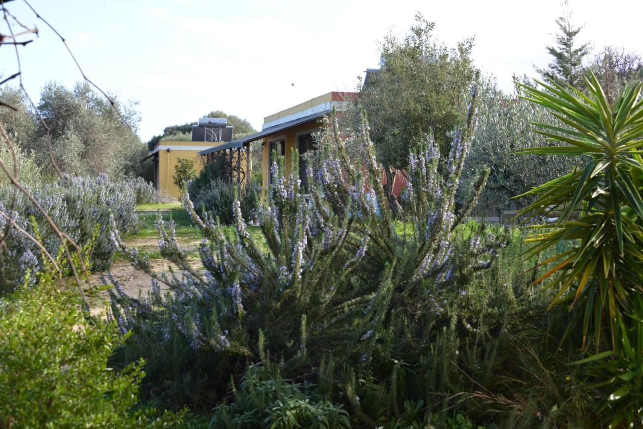B&B Casa Per Ferie Villaggiocarovana Castiadas Zewnętrze zdjęcie