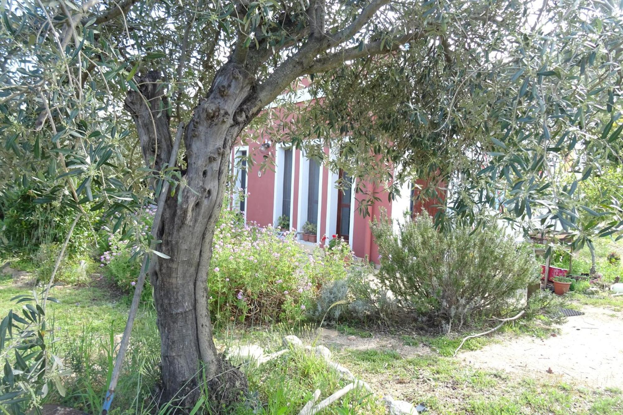 B&B Casa Per Ferie Villaggiocarovana Castiadas Zewnętrze zdjęcie